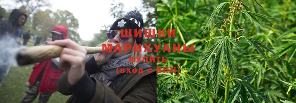 прущие грибы Семёнов