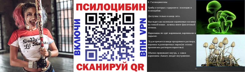наркошоп  Баксан  Галлюциногенные грибы прущие грибы 